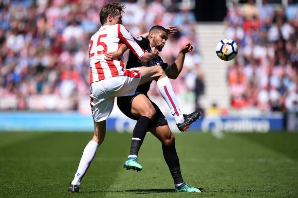 疑是一颗引 疑是一颗引