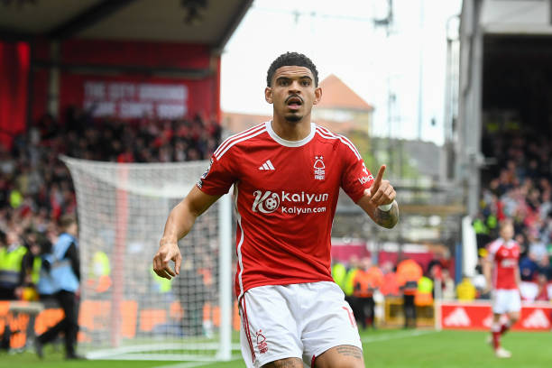 本赛季冠军 本赛季冠军