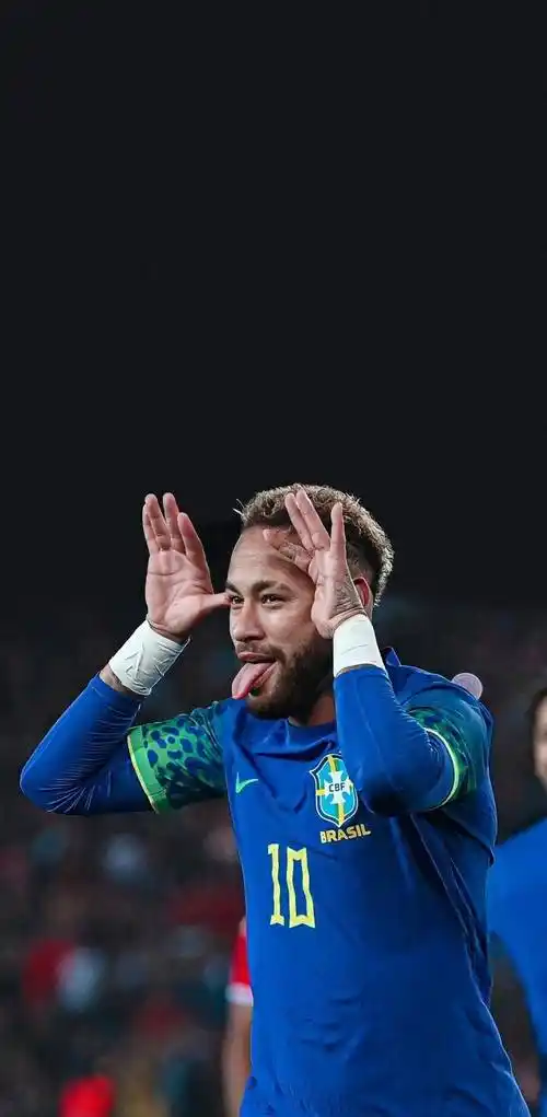 的界定与自 的界定与自