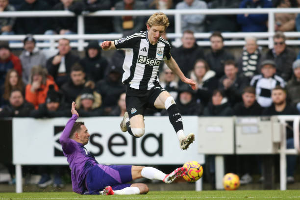 年轻人队的 年轻人队的